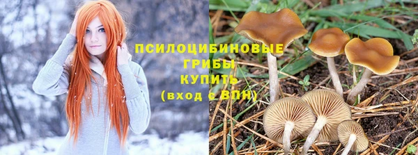 mix Абинск